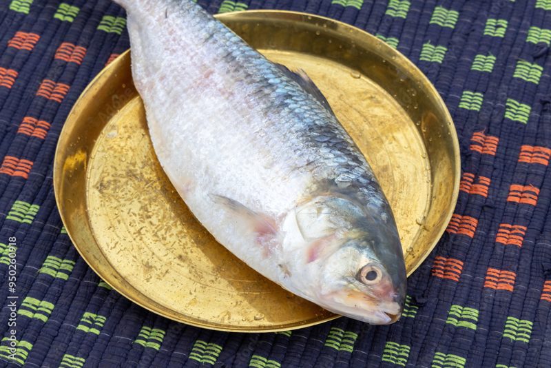 Fresh Fish